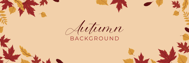 Autumn background. Thanksgiving Day. Harvest. Fall Leaves horizontal banner. Border.  Vector illustration