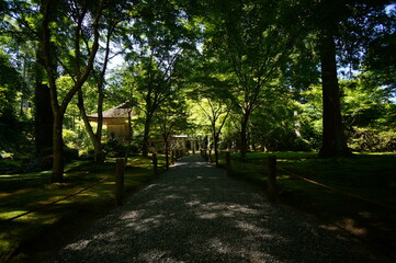 京都、瑠璃光院の風景