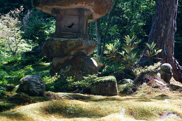 京都、瑠璃光院の風景