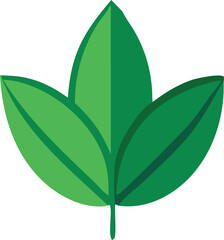 Vibrant green tri-leaf foliage design symbolizing growth nature and freshness for organic concepts and eco-friendly projects