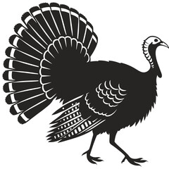 vector illustration of turkey
