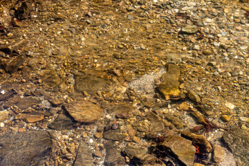 View of the rivver bottom
