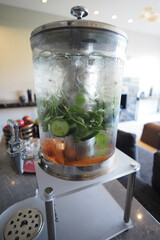 Refreshing beverage dispenser with infused herbs and fruits