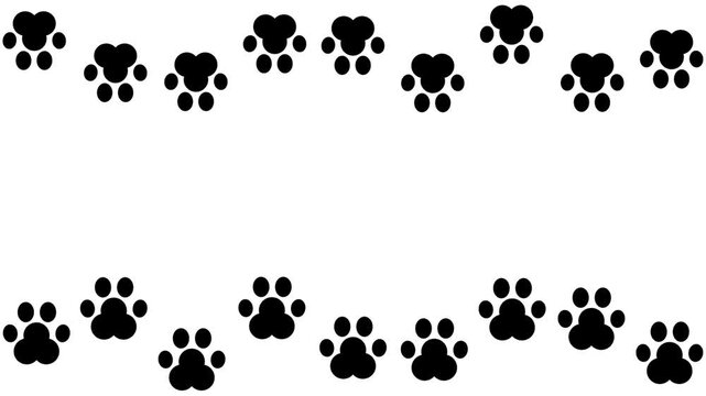 Black cat paw print frame animation jumping on a horizontal white screen with blank area for text or title