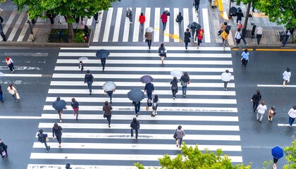 Obraz premium Overhead view of a busy pedestrian crossing on a rainy day