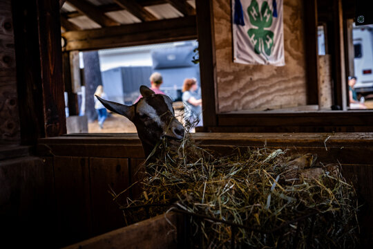 Hay time