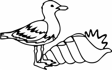 Seagull and Seashell Vector.eps
