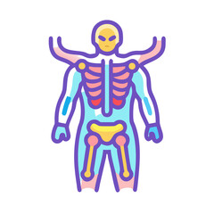 Detailed anatomical illustration of human skeleton and body structure