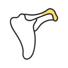 Anatomical illustration of shoulder joint anatomy on black background