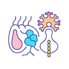 Illustration of pancreas and neurons showing different aspects of organs