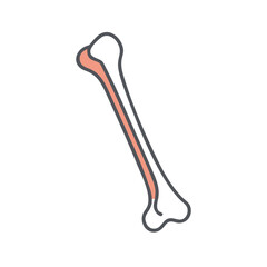 Stylized bone illustration against a black background for educational use