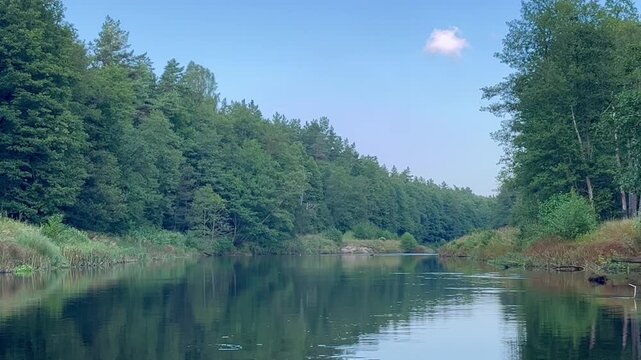 Calm Irbe river in Latvia stretching through dense summer forest as a distant white egret lifts into flight, capturing quiet wilderness, soft motion and a sense of open natural freedom