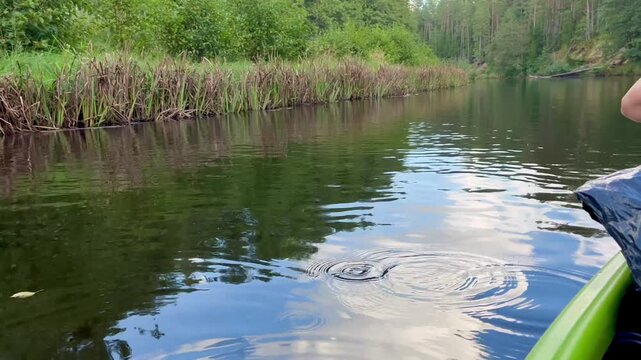Kayaking along the Irbe river in Latvia with red paddle dipping into calm reflective water, capturing gentle motion, wild nature and peaceful harmony of summer adventure