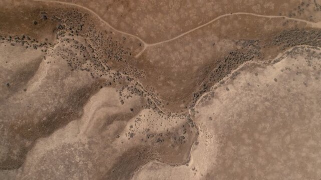 Aerial view of arid landscape in Carrizo Plain National Monument, California, USA. A dry riverbed, sparse vegetation, and dirt roads, highlighting the desert environment.