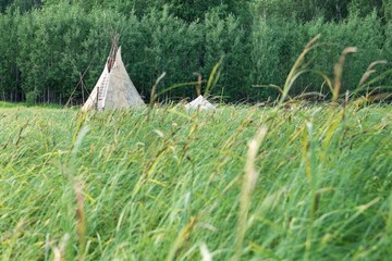 Teepees in a Meadow. A Glimpse into Native American Heritage and Peaceful Outdoor Living. © Nadezhda Zaitceva