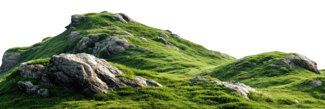Lush hill covered in grass and scattered rocks