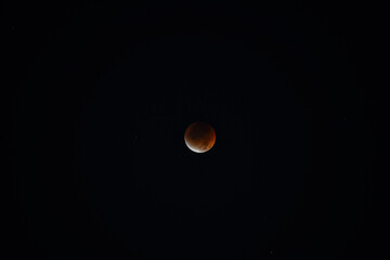 A total lunar eclipse, or blood moon, rises in a starry night sky, partially framed by the silhouette of trees. The red full moon casts a subtle glow, creating a serene and atmospheric night scene.