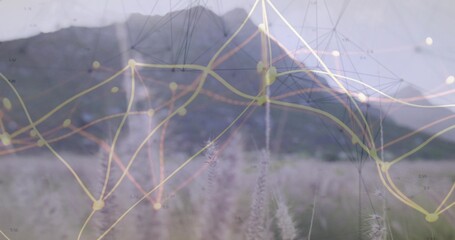 Fototapeta premium Overlaying yellow-node network graph across tall grasses and mountain peak in rural meadow