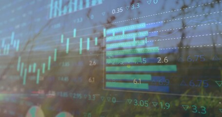 Floating translucent dashboard overlay streaming over meadow, with candlestick bars and grid lines