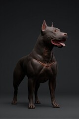 Muscular dog stands confidently against dark backdrop, showcasin