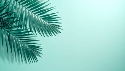 Serene tropical backdrop featuring palm leaves against a calming turquoise expanse