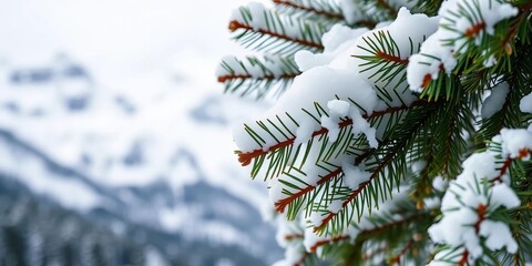 Close-up of snow-covered pine branches against a snowy mountain backdrop,  outdoor,  illustration