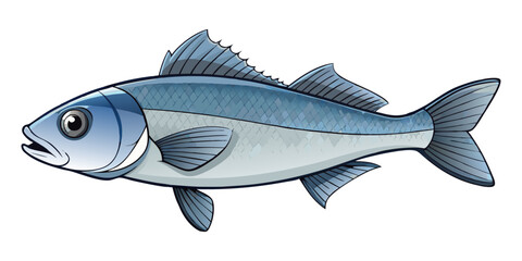 A high-resolution, photorealistic image of a whole European sea bass (Dicentrarchus labrax) isolated on a clean white background. The fish has silvery, metallic scales with a slightly darker bluish-gr