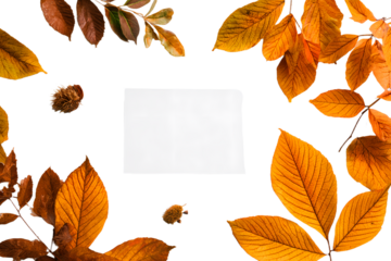 Autumn composition. Frame made of blank paper and leves on white background. Fll concept. Autumn thanksgving texture. Flat lay, to view, copy space