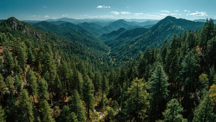 Obraz premium Panoramic view of a lush, verdant mountain range, with layers of peaks & valleys under a clear sky