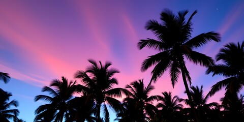 Obraz premium Tropical Sunset with Silhouetted Palm Trees and Colorful Sky