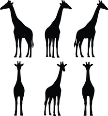 giraffe silhouette vector illustration from various angles © Faris