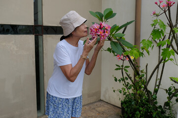 Adult Asian Balinese woman smelling the scent of pink plumeria flowers in the garden