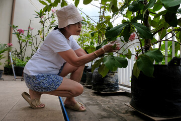 Elderly Asian woman taking care of her plants in the back garden