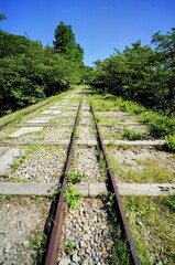 京都、蹴上インクラインの風景