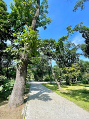Pokrovsky Park in Vladivostok in summer. Russia