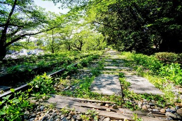 京都、蹴上インクラインの風景