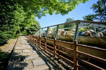 京都、蹴上インクラインの風景