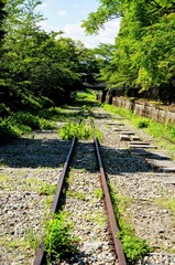 京都、蹴上インクラインの風景