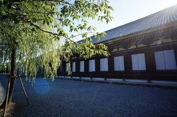 京都、三十三間堂の風景