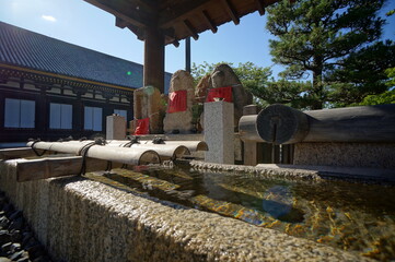 京都、三十三間堂の風景