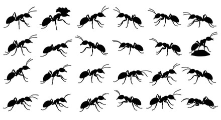 Ant Set Silhouette Vector Illustration , Animals Silhouette Set Collection Vector