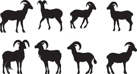 Collection of silhouetted bighorn sheep rams standing in different poses against white background