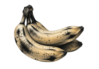 Overripe, shriveled bananas in muted sepia and deep charcoal grey, intricate textures, isolated on transparent with copy space, detailed charcoal drawing, concept of natural decay and fragility
