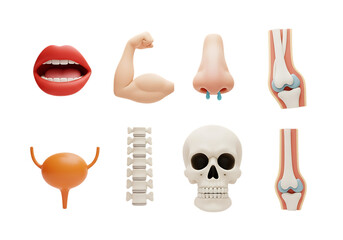 3d icon of set of 3d human anatomy icons isolated on transparent background