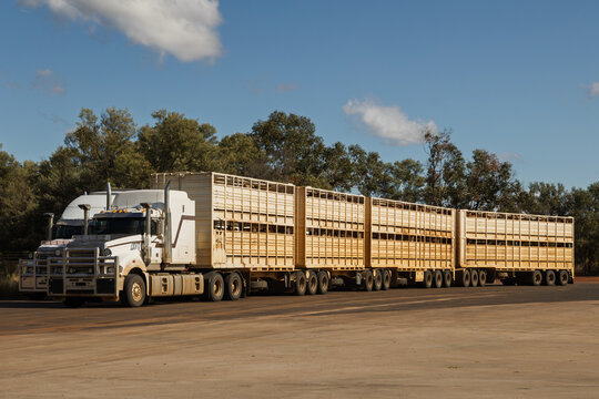 An Australian cattle road train, an extremely long, multi-trailer semi-truck used for transporting livestock over enormous distances in the outback, parked at a roadside stop in Queensland, Australia.