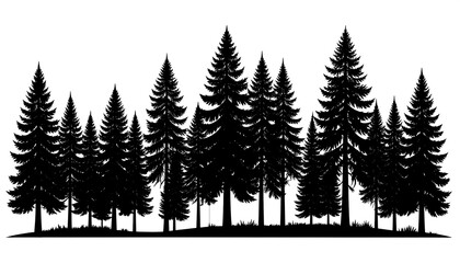 Obraz premium Silhouette of a forest