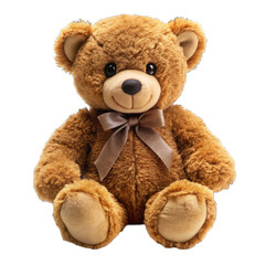Obraz premium teddy bear on white background