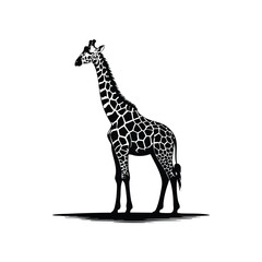 Clean White Background for Product Photography Studio Concept or Medical Presentation Template Resource