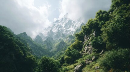 Lush valley slopes ascend to snow-capped mountains veiled in clouds