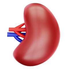 Spleen
